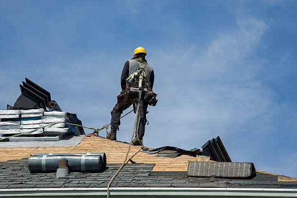 Professional Roof Replacement technician working in Ida, MI